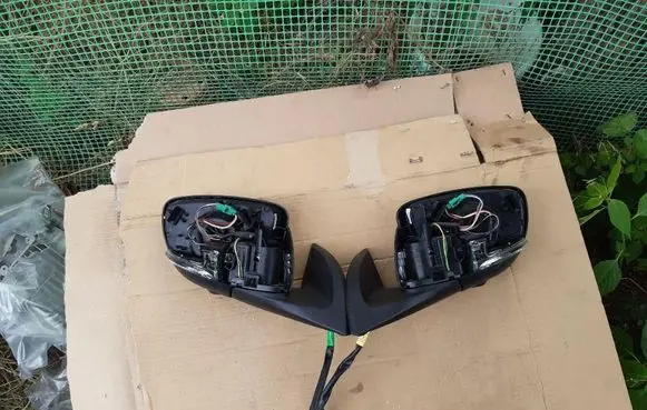 Nissan Leaf II (ZE1) Front door electric wing mirror 22704005004