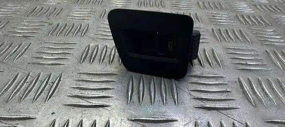 Volkswagen PASSAT B8 Tailgate opening switch 3G0959831