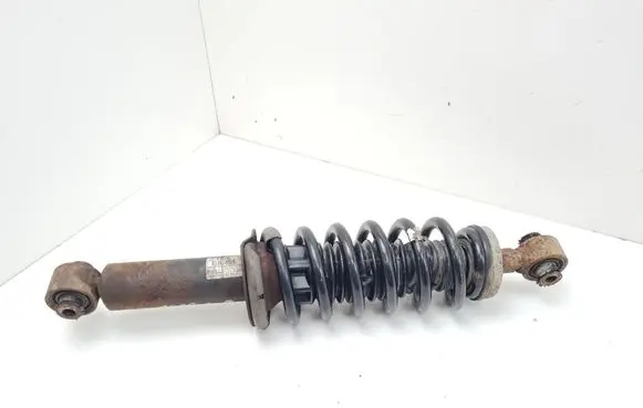 Peugeot 508 Rear shock absorber with coil spring 9593