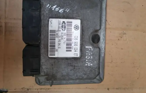 Engine control unit/module ECU