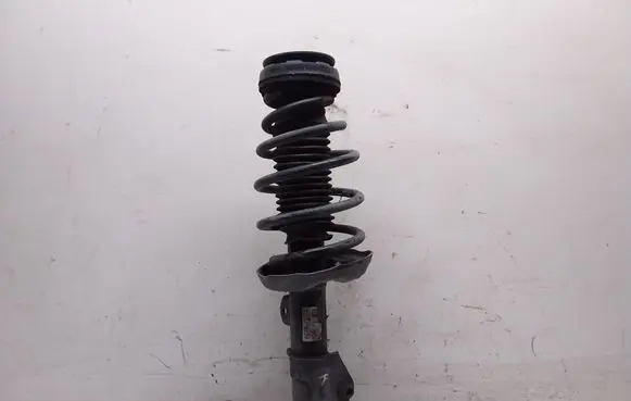 Opel Insignia A Front shock absorber with coil spring 13475854