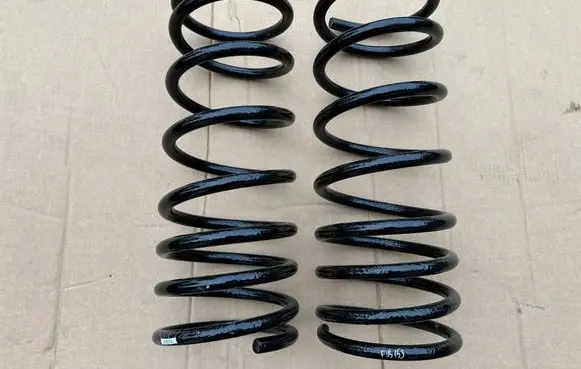 Rear coil spring