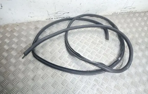 Mazda RX8 Front door rubber seal