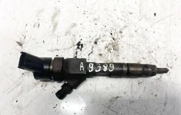 Renault Espace - Grand espace IV Fuel injector 8200100272