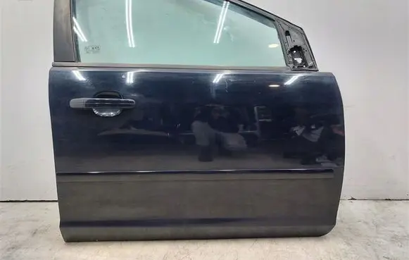Ford Focus Front door 