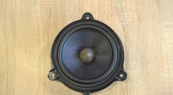 Renault Laguna III Front door speaker