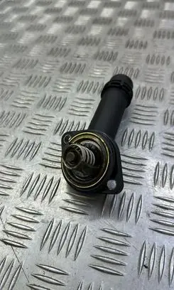 Thermostat/thermostat housing