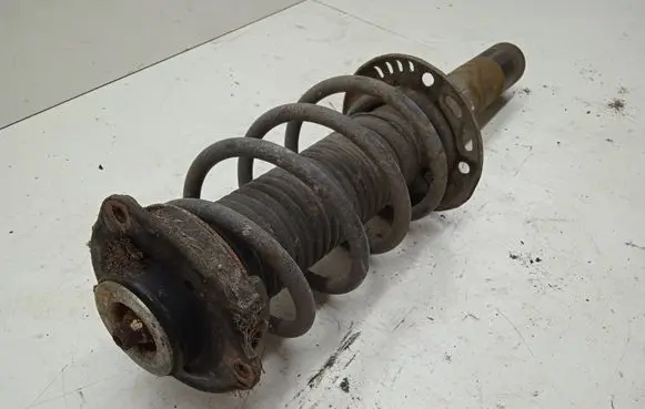 Volkswagen Golf V Front shock absorber/damper