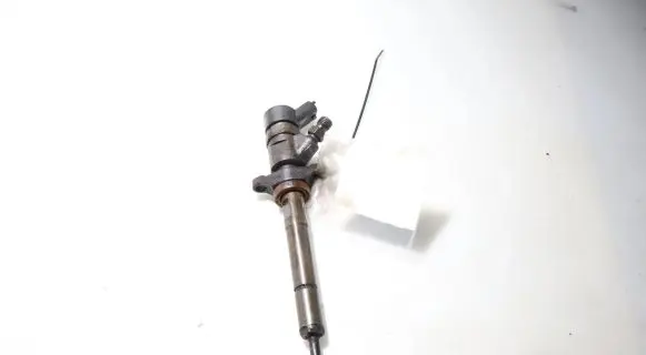 Ford Focus Fuel injector 0445110259
