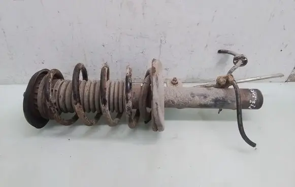 Peugeot 207 Front shock absorber with coil spring