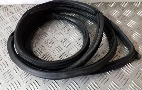 Mitsubishi Grandis Front door rubber seal