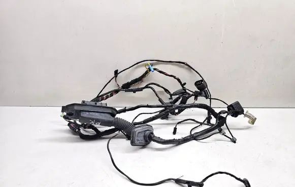 Front door wiring loom