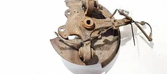Renault Laguna III Rear wheel hub 
