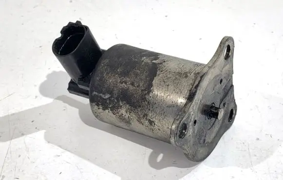 EGR valve
