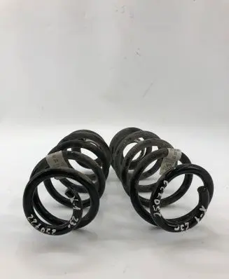 Rear coil spring
