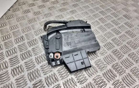 Fuse module
