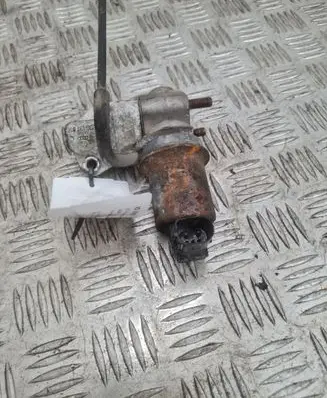 Volkswagen Polo EGR valve