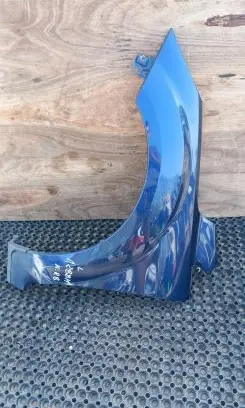Ford Focus Fender