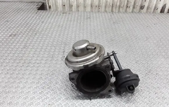 Seat Ibiza III (6L) EGR valve 038129637B