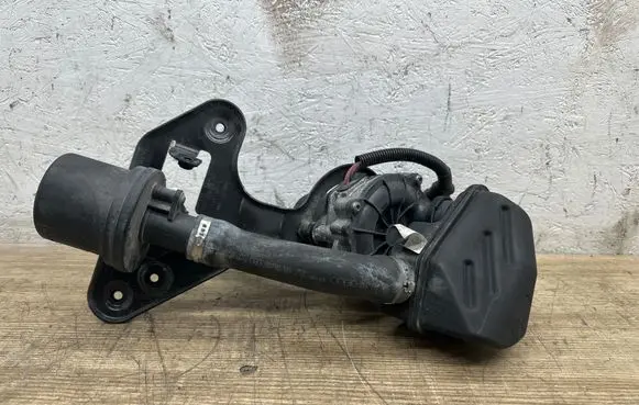 Audi A7 S7 4G Secondary air pump 420906321 70264700