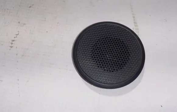 Panel speaker