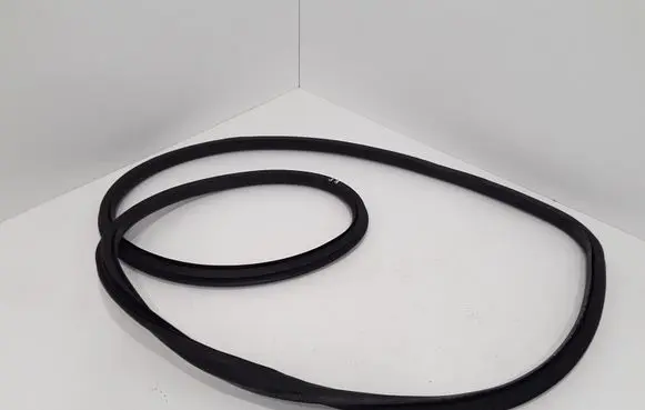 Opel Insignia A Front door rubber seal