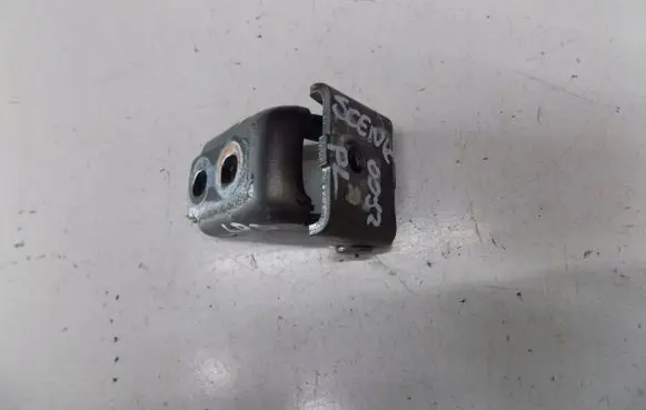 Renault Laguna III Front door lower hinge NV676