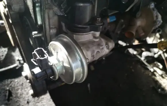 EGR valve