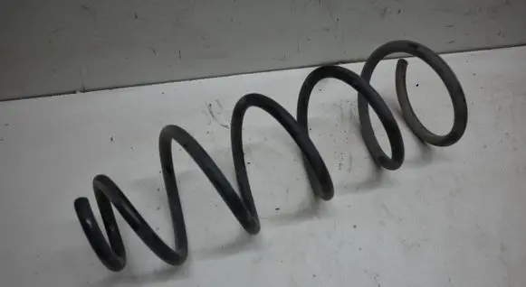 Rear coil spring
