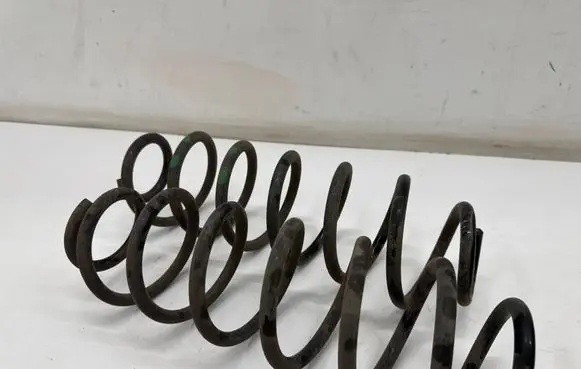 Rear coil spring