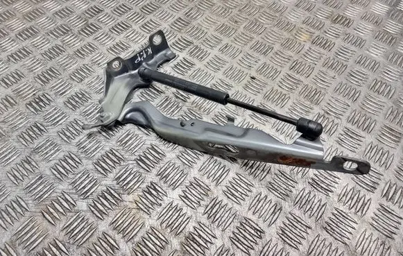 Volvo V70 Engine bonnet/hood hinges 3125018e 30649516