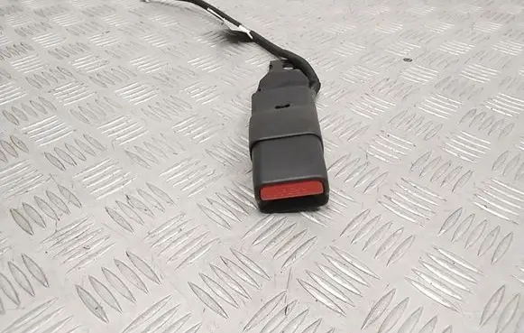 Nissan Leaf II (ZE1) Rear seatbelt buckle 2094330