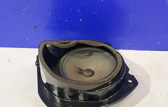 Mercedes-Benz CL C216 Front door speaker A2168201002
