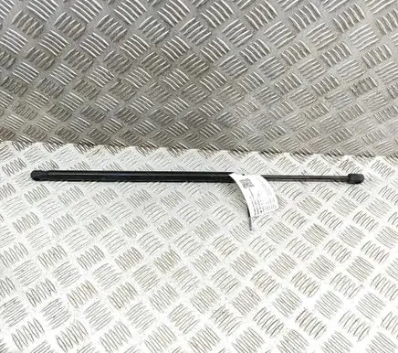 Mercedes-Benz SLK R171 Front bonnet/hood damper/strut A1719800164