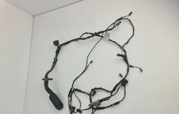 BMW X6 E71 Front door wiring loom 9147281 9242074