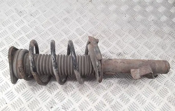 Front shock absorber with coil spring