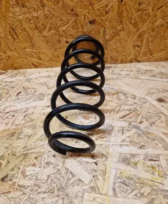 Rear coil spring