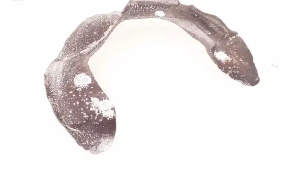 BMW 1 F20 F21 Front brake disc dust cover plate 