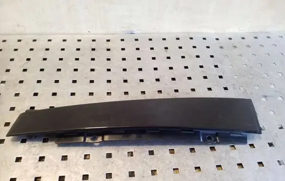Other rear door trim element