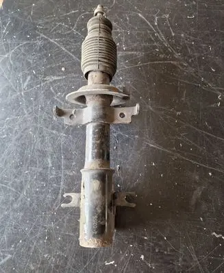 Renault Laguna II Front shock absorber/damper 8200117298