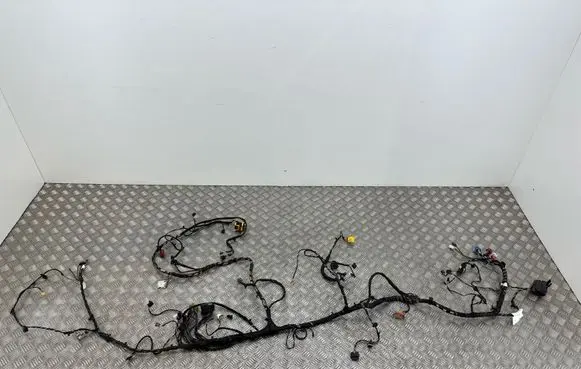 Audi A4 S4 B9 Panel wiring 8W1970161