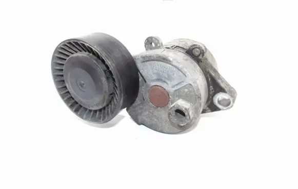 BMW 5 E39 Alternator belt tensioner F2260082