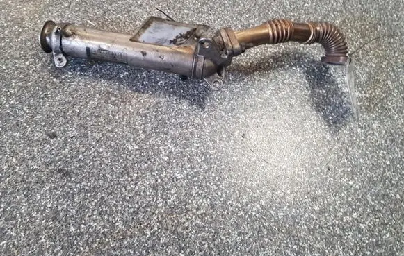 Renault Espace - Grand espace IV EGR valve cooler 8972292313
