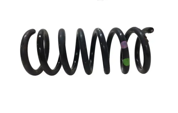 Rear coil spring