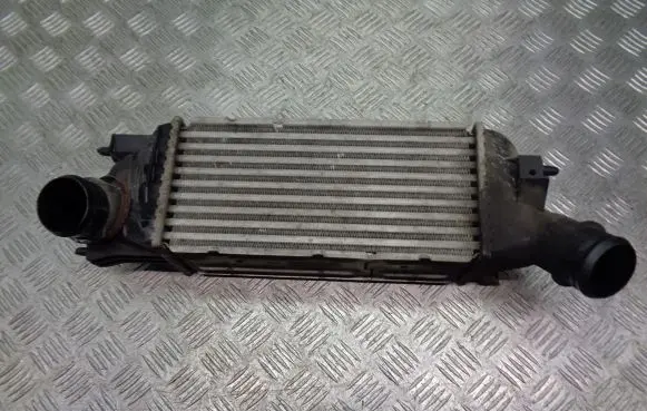 Peugeot 407 Intercooler radiator