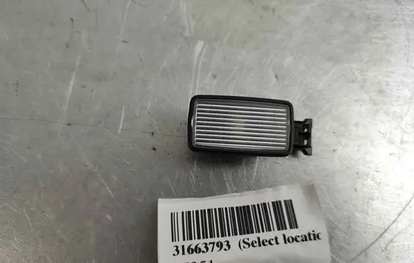 Volvo XC60 Rear door interior light 31663793