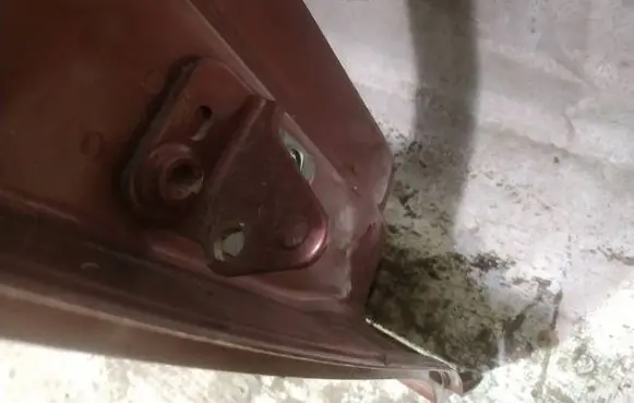 Rear door lower hinge