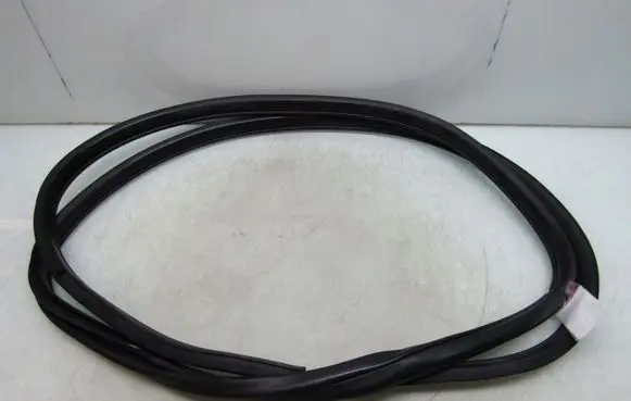Nissan Leaf II (ZE1) Rubber seal rear door 