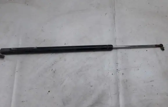 Tailgate/trunk strut/damper