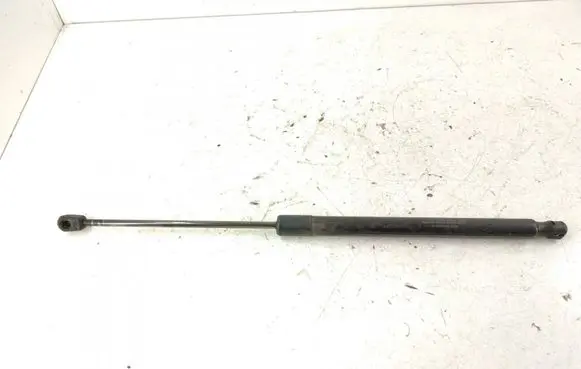 Mercedes-Benz B W245 Tailgate strut DALISID4794 1699800964 1699801064